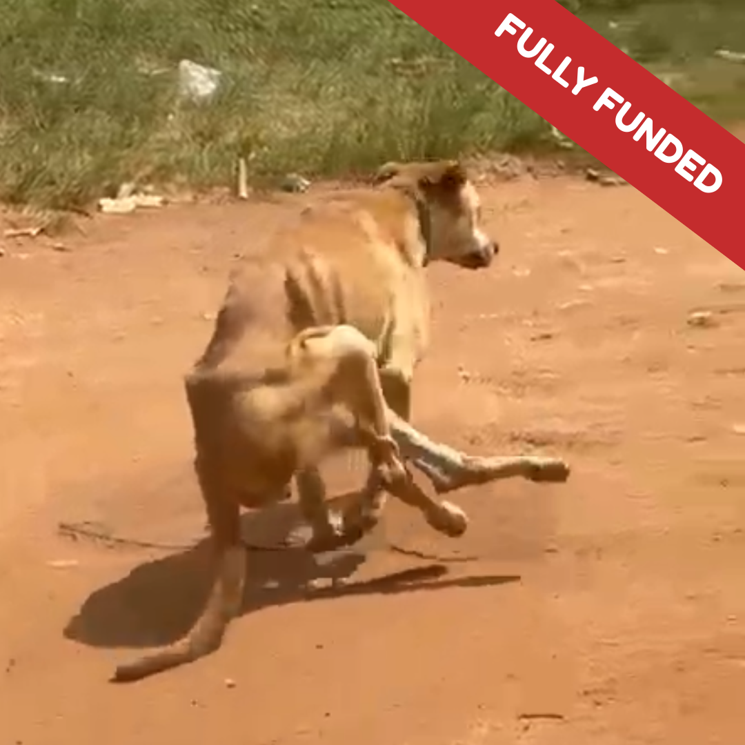 Funded Instagram Post